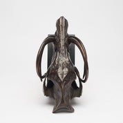 Babirusa Skull in bronze