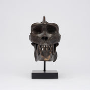 Bronze Western Lowland Gorilla Skull