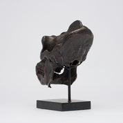 Bronze Western Lowland Gorilla Skull