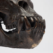Bronze Western Lowland Gorilla Skull