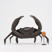 Crab in Bronze, Medium