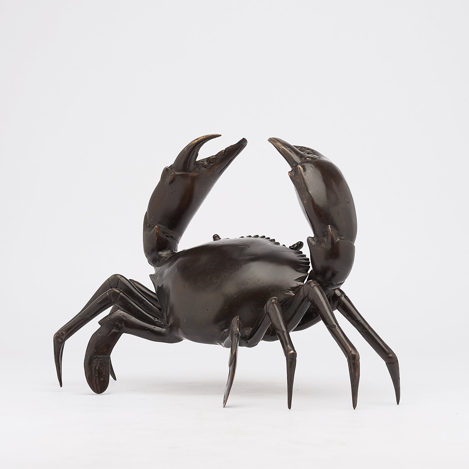 Crab in Bronze, Medium
