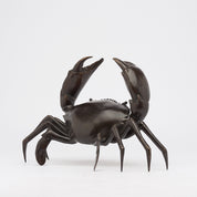 Crab in Bronze, Medium