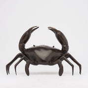 Crab in Bronze, Medium