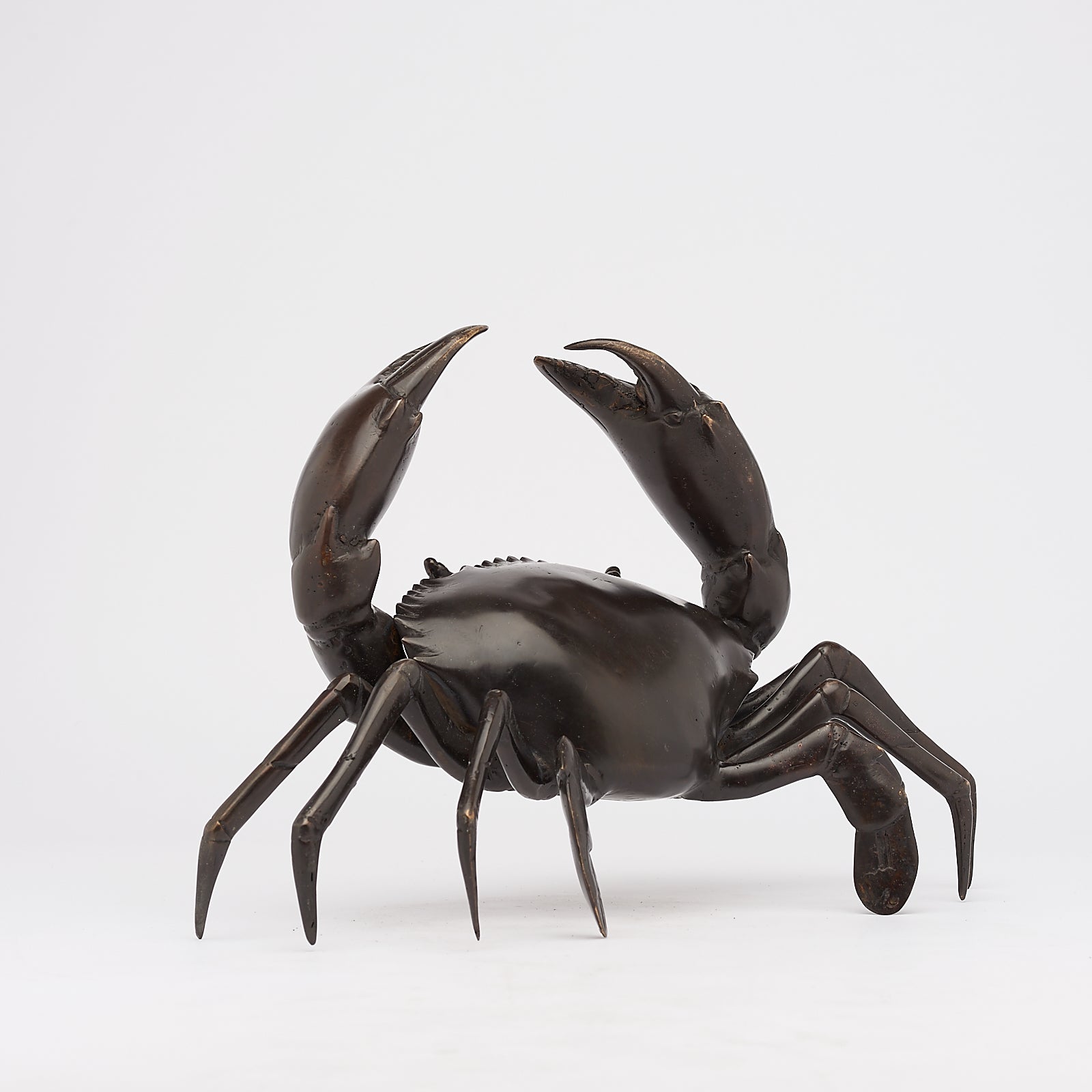 Crab in Bronze, Medium