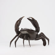 Crab in Bronze, Medium