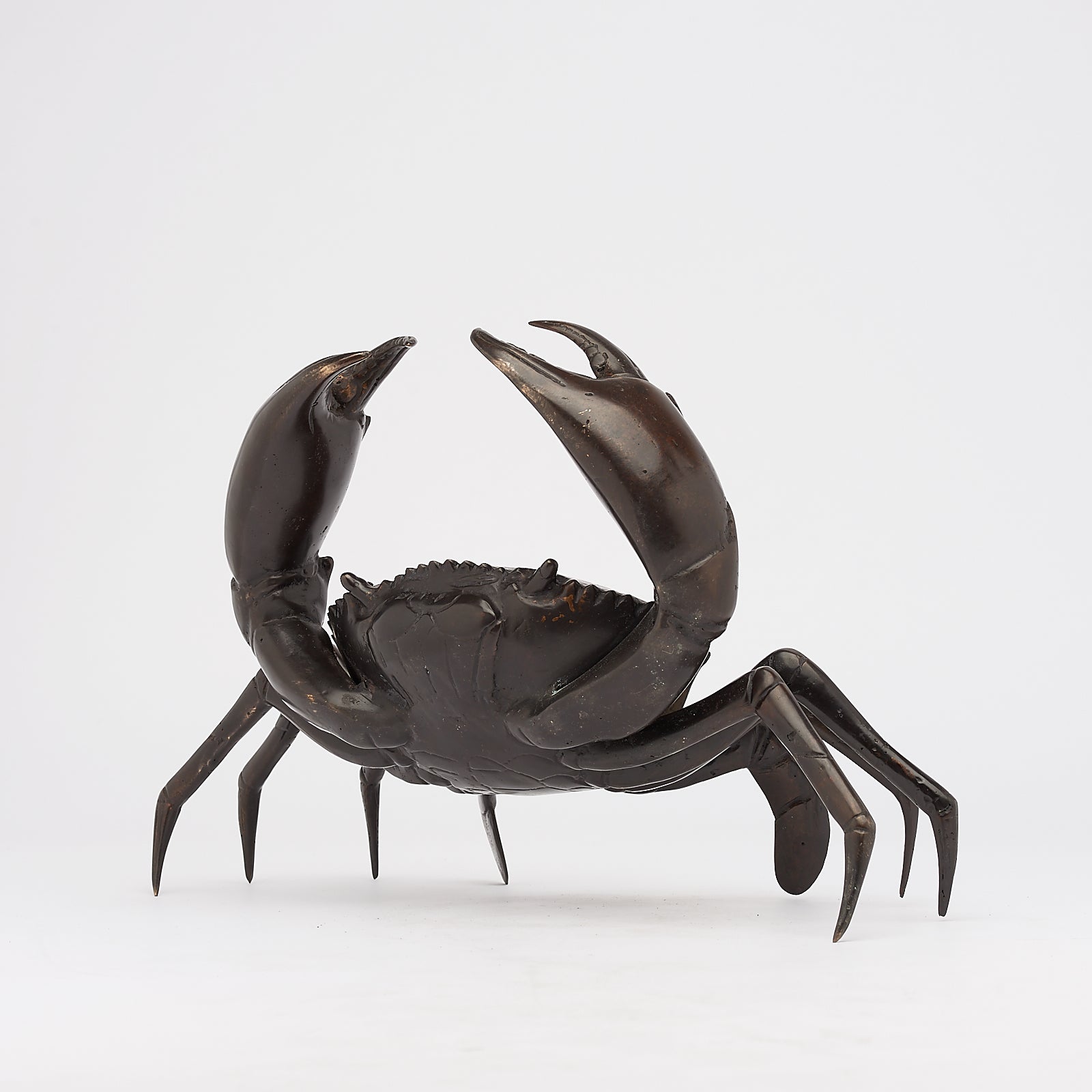 Crab in Bronze, Medium