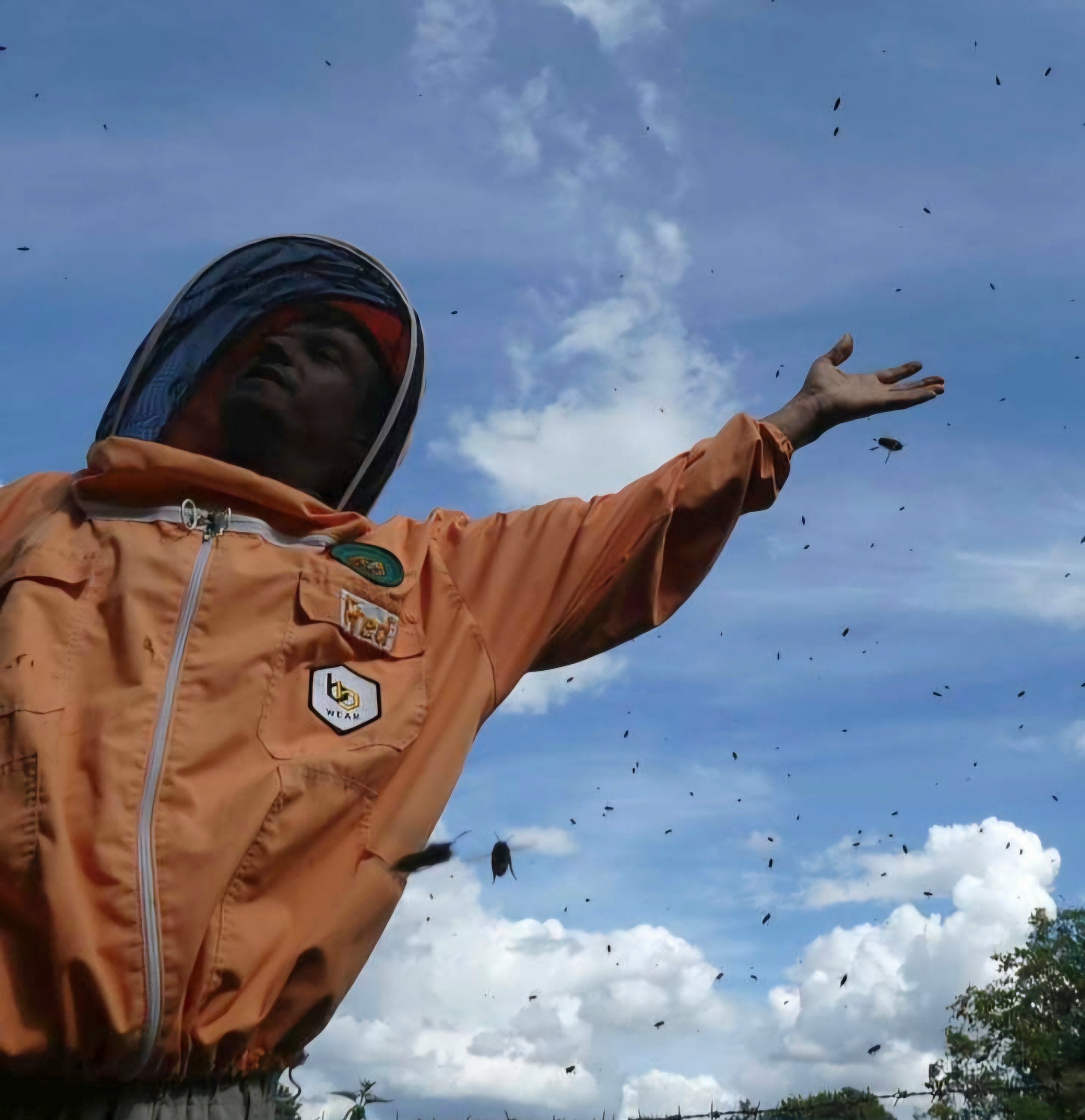 Miraculous Bee Balm