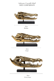 Extra Large Saltwater Crocodile Skull in polished bronze