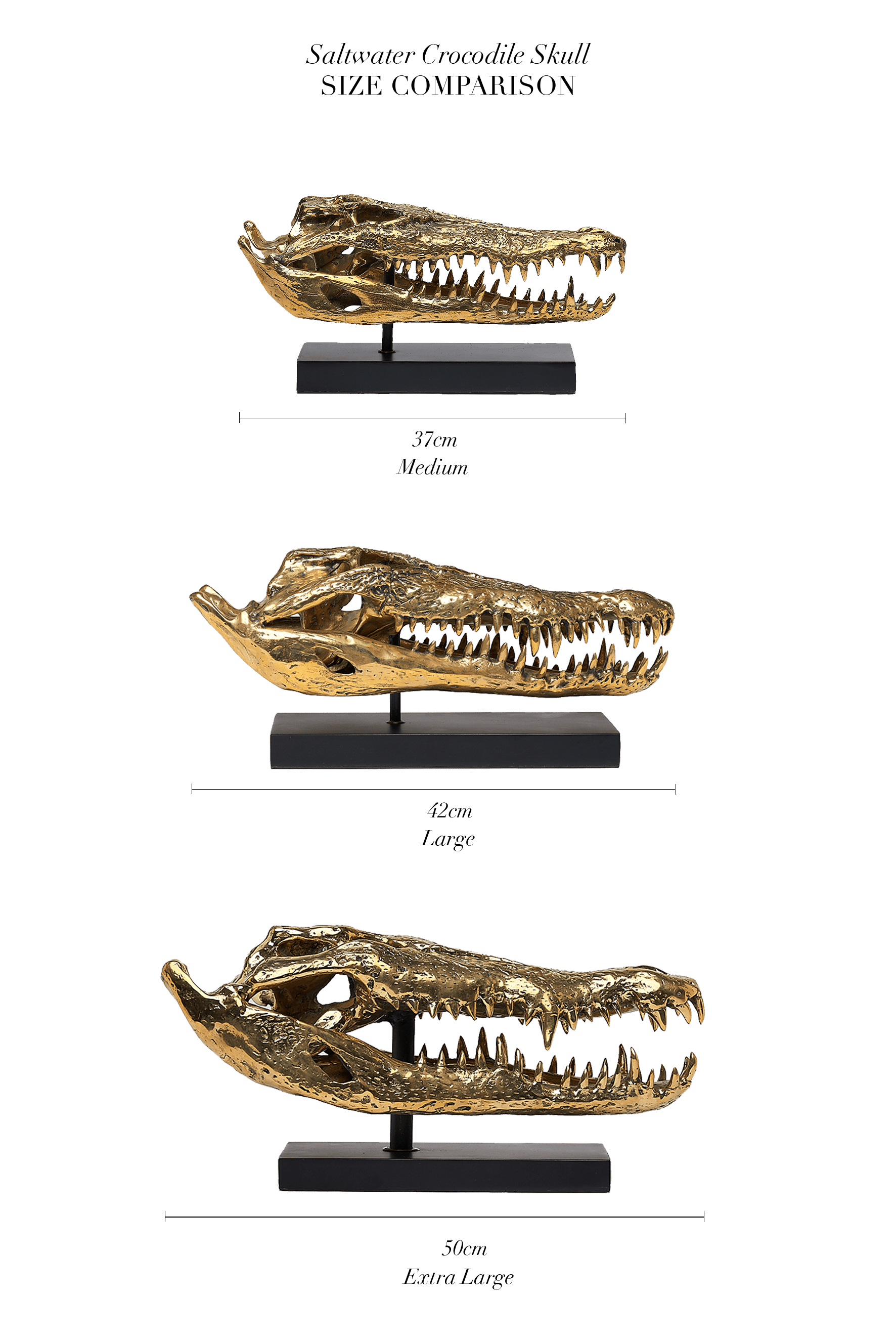 Medium Saltwater Crocodile Skull in Polished Bronze
