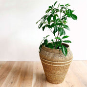 Handwoven Lutindzi Grass Urn