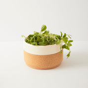 Ceramic Gift Set | Mug and Bowl in Cream