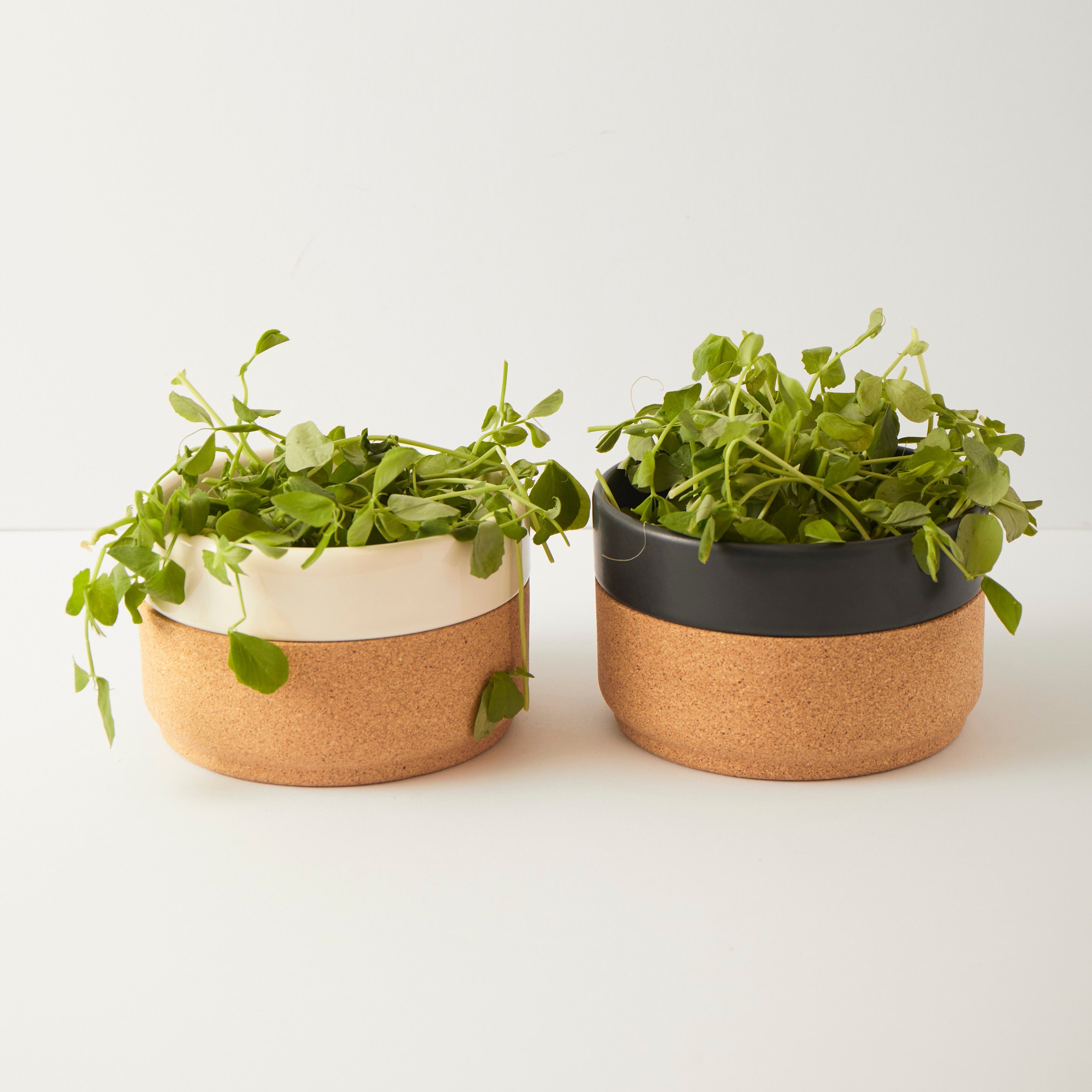 Ceramic Gift Set | Mug and Bowl in Cream