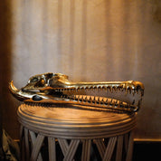 Large Polished Bronze Gharial Skull