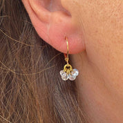 Rising Star Diamond Cluster Hoops