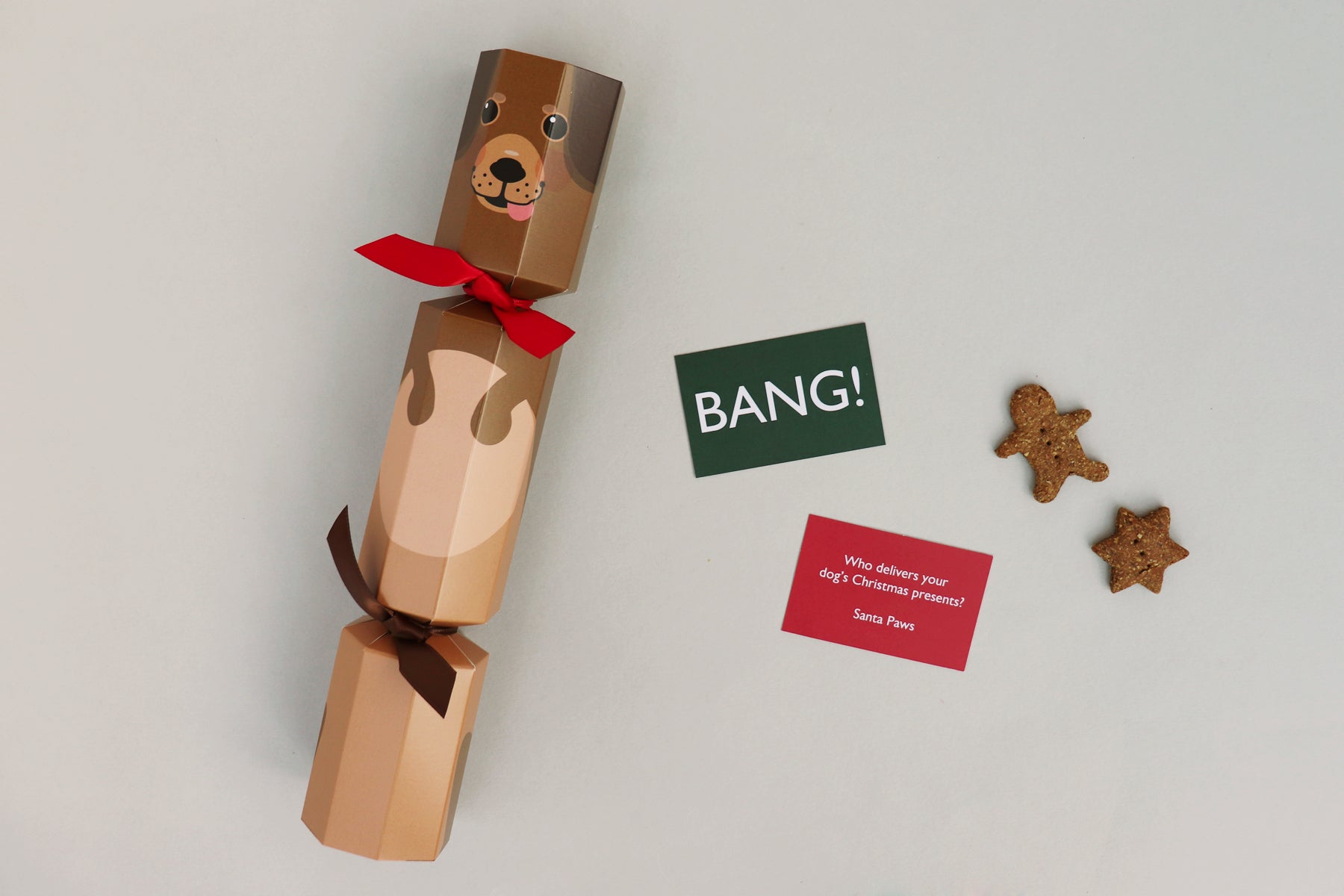 dog_christmas_cracker_no_bang.jpg