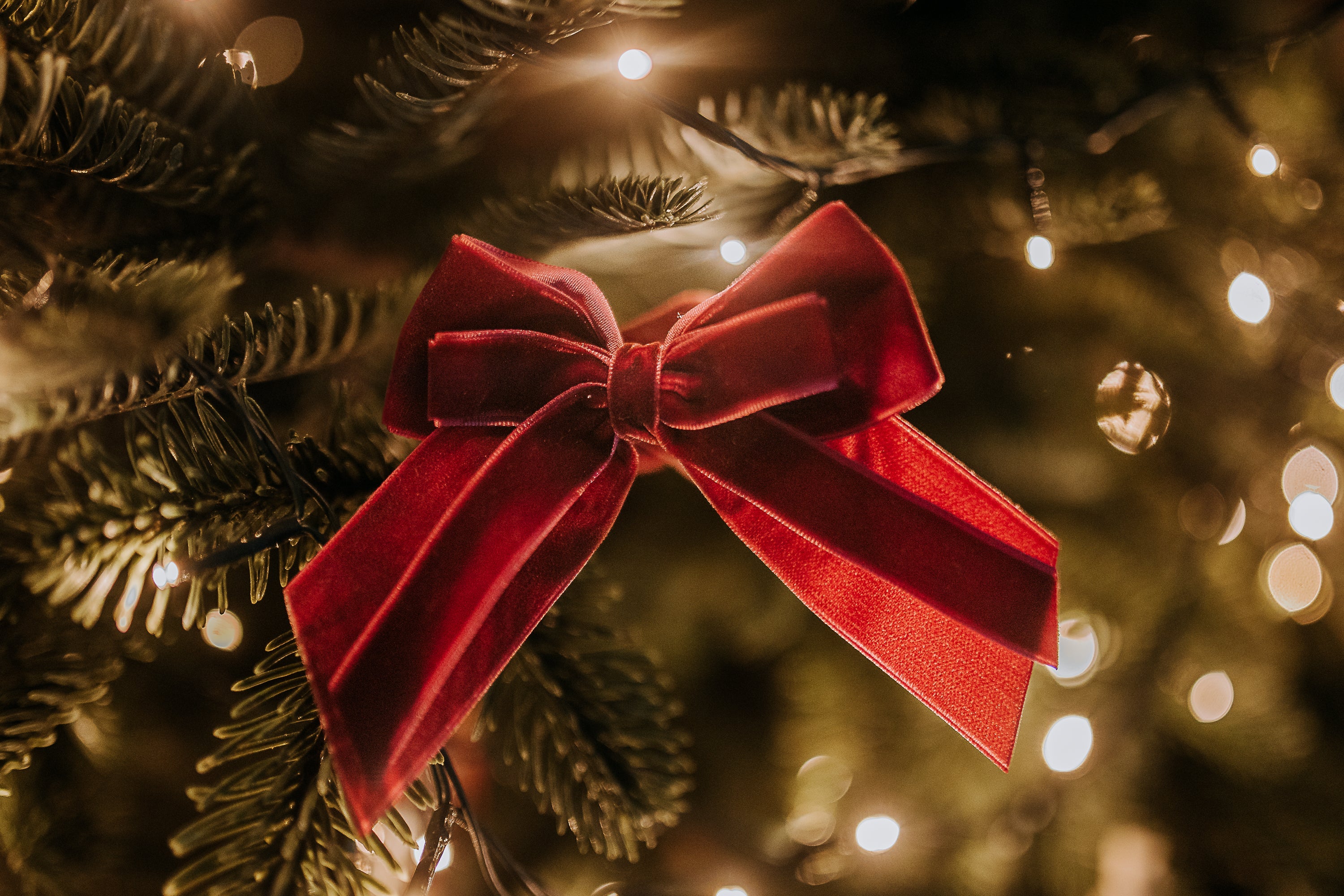 BURGUNDY DOUBLE VELVET BOWS (FOUR)