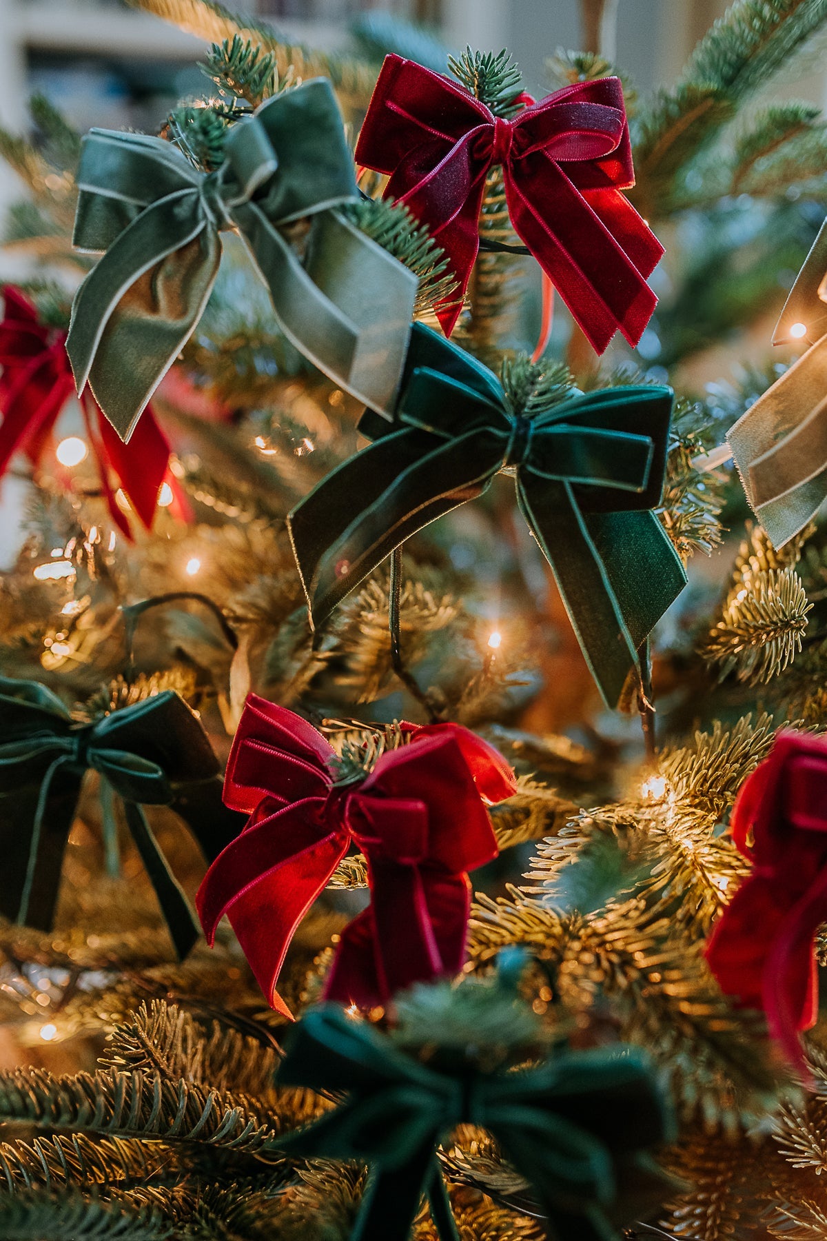 FOREST GREEN DOUBLE VELVET BOWS (FOUR)