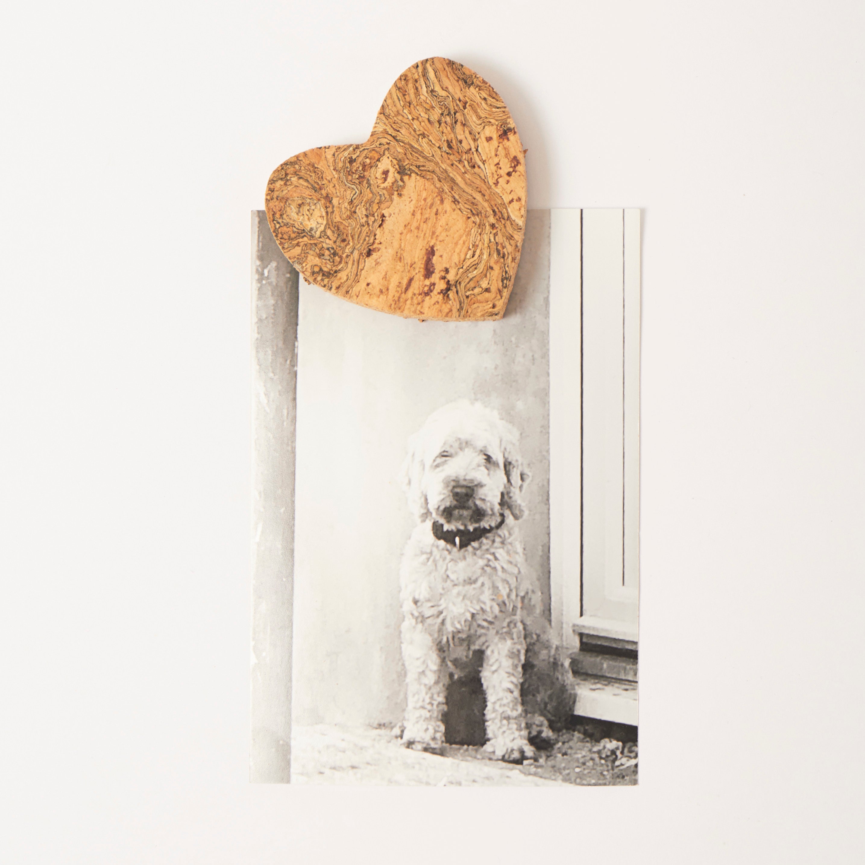 Natural Cork Magnet | Heart