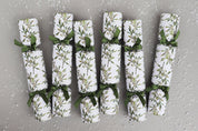 MISTLETOE LUXURY CHRISTMAS CRACKERS