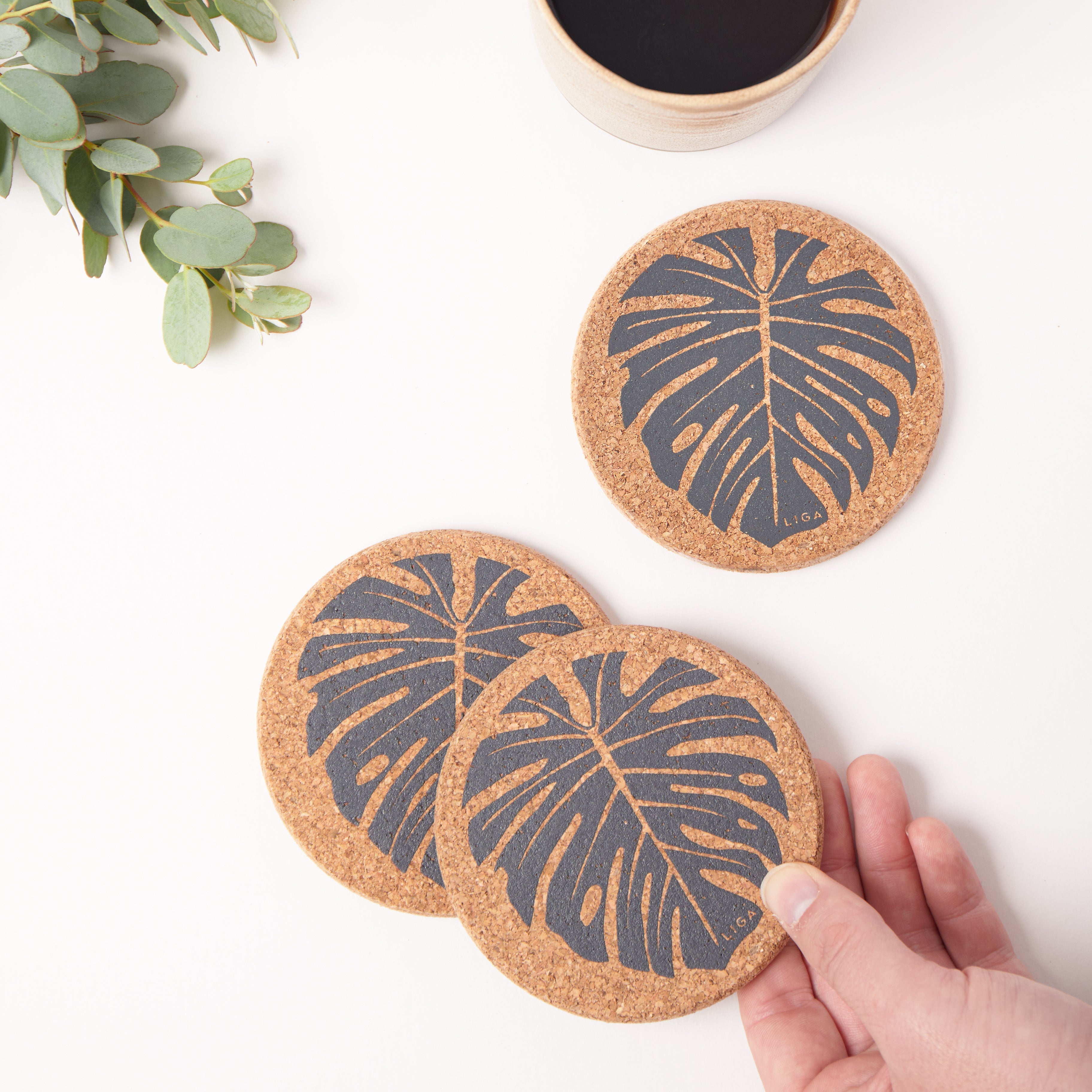 Cork Coasters | Monstera
