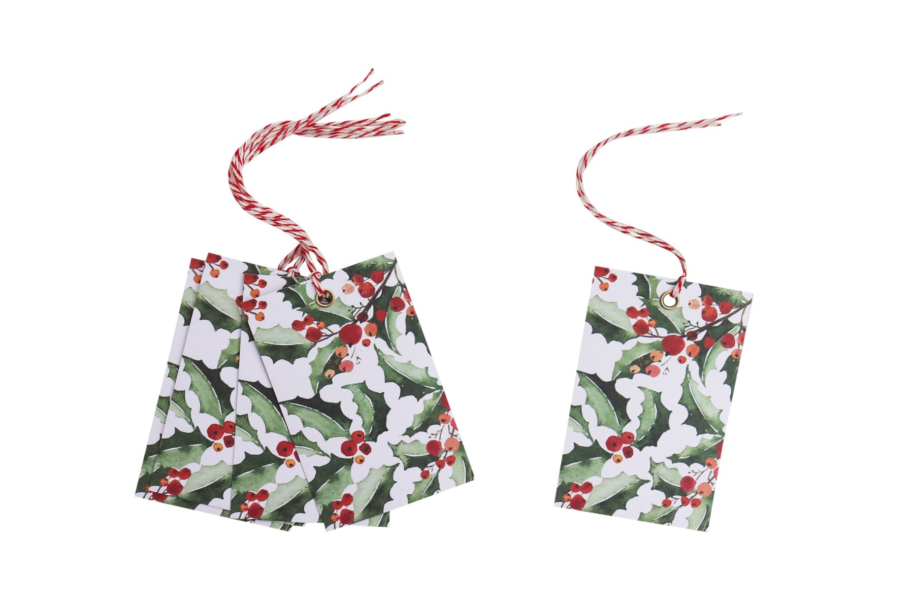 nancyandbetty_gifttags_greenholly.jpg