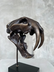 Small Bronze Sabertooth Tiger