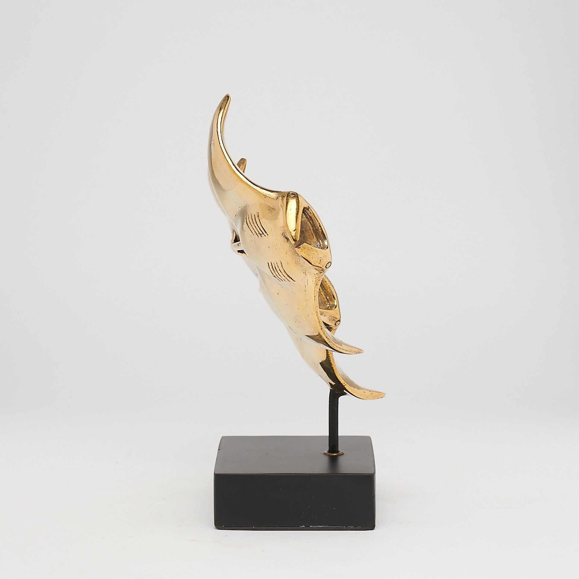 Young Manta Ray Family Drifting