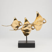 Young Manta Ray Family Drifting