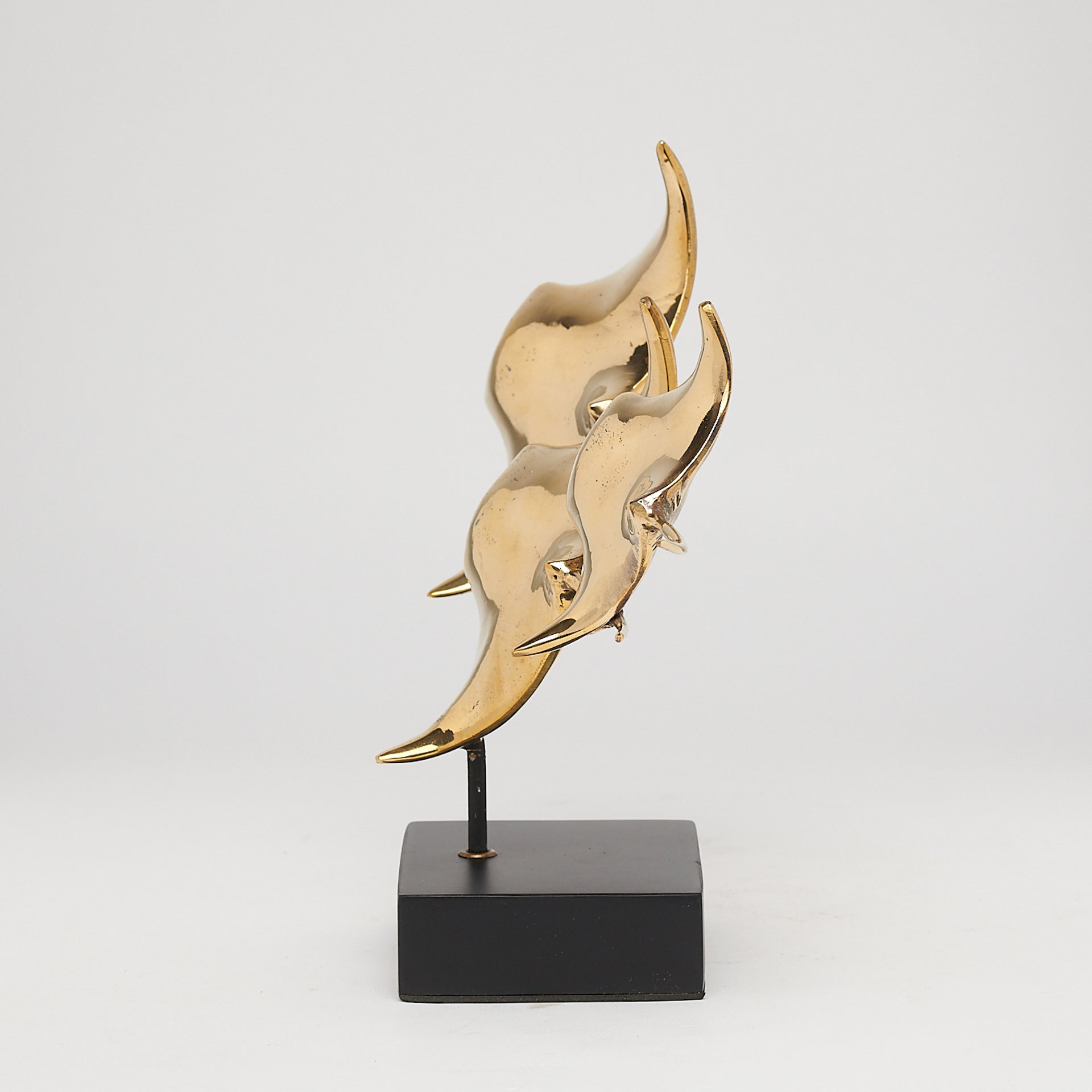 Young Manta Ray Family Drifting