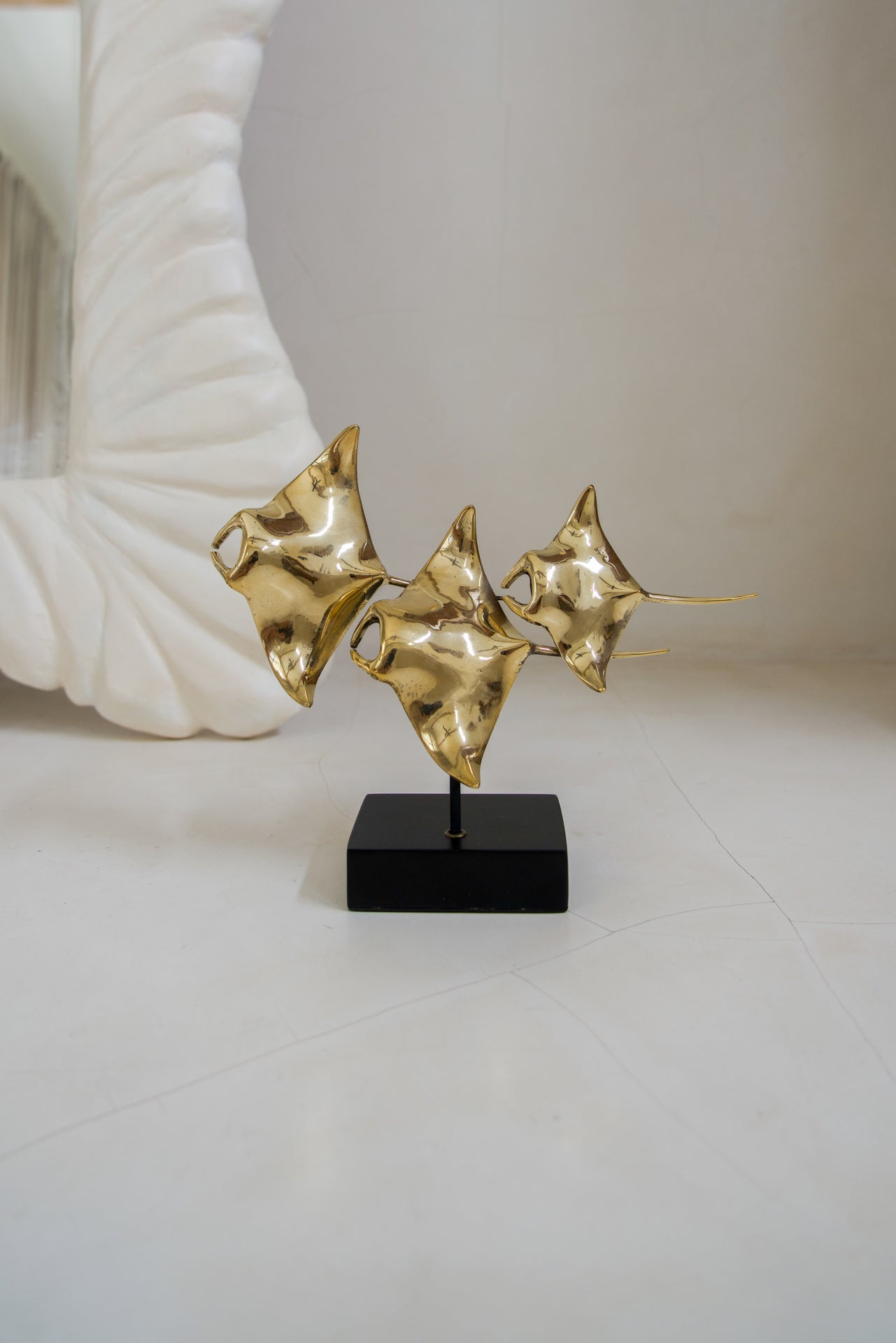 Young Manta Ray Family Drifting