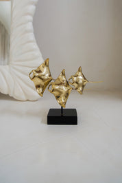 Young Manta Ray Family Drifting