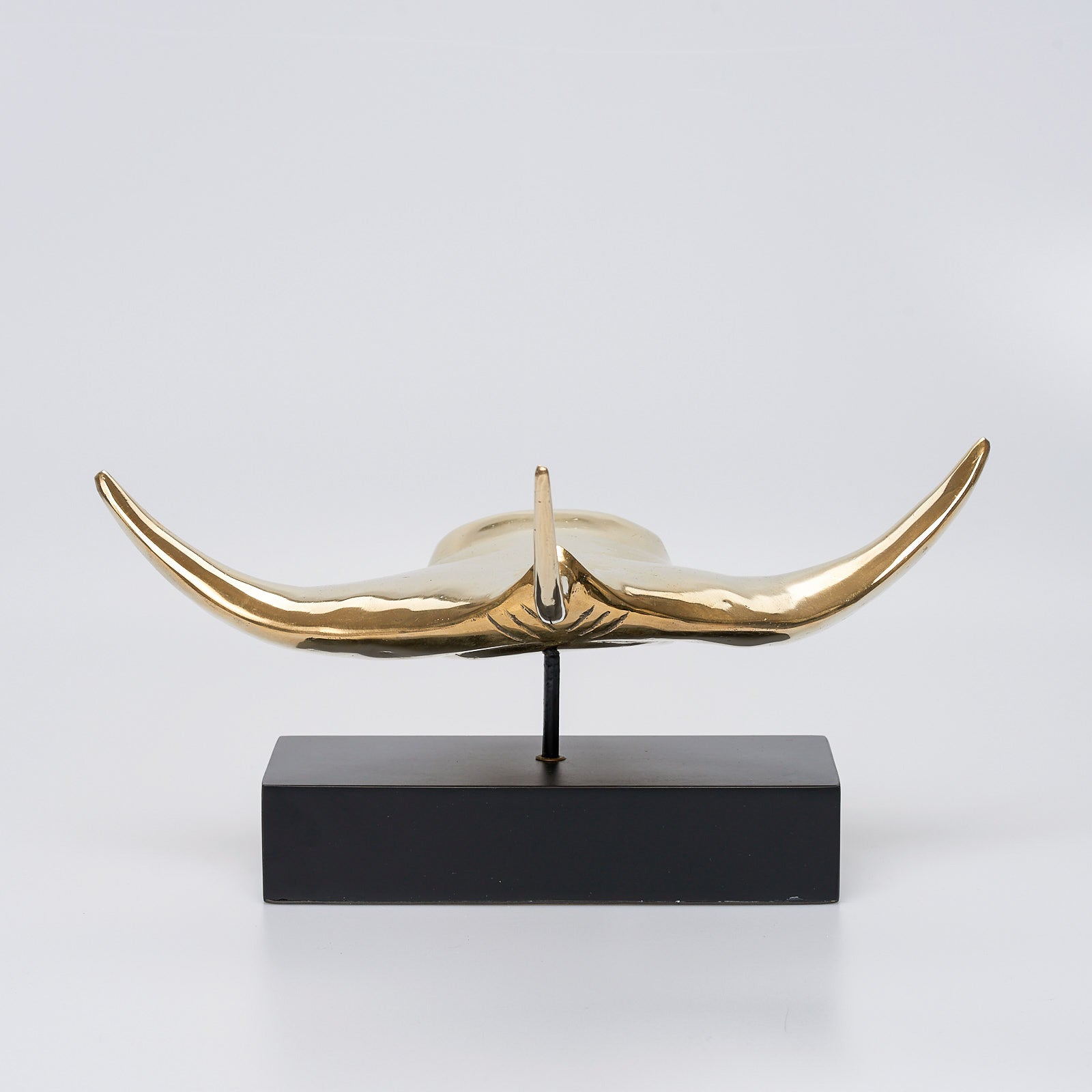 Manta Ray in polished bronze, Large