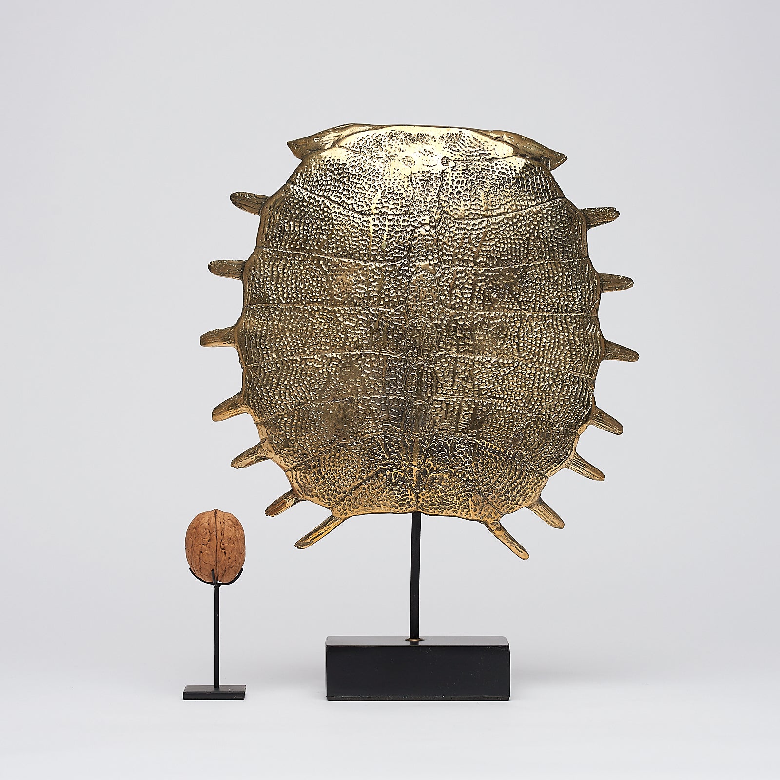 Medium Turtle Shell in polished bronze