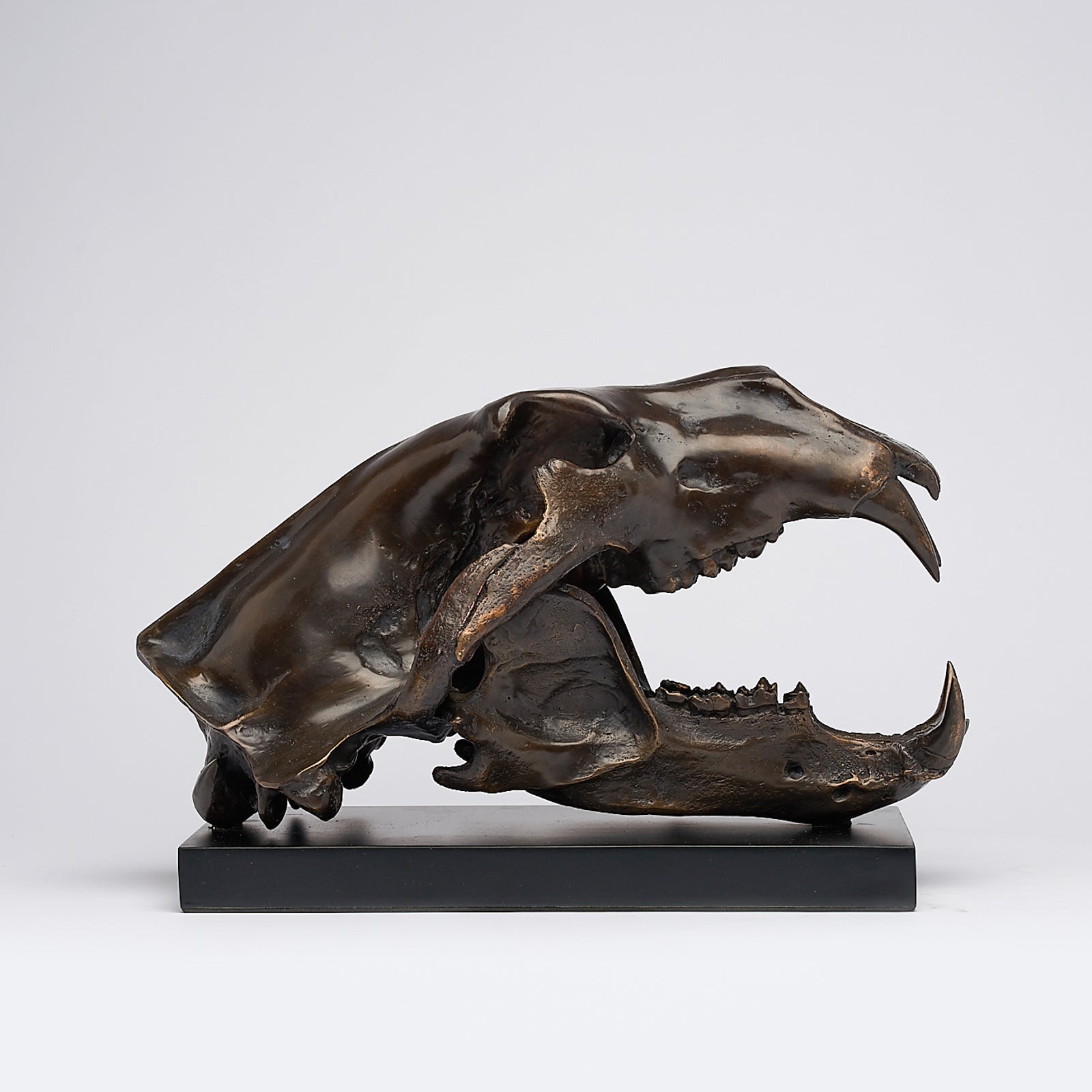 Sooka Bronze Polar Bear Skull