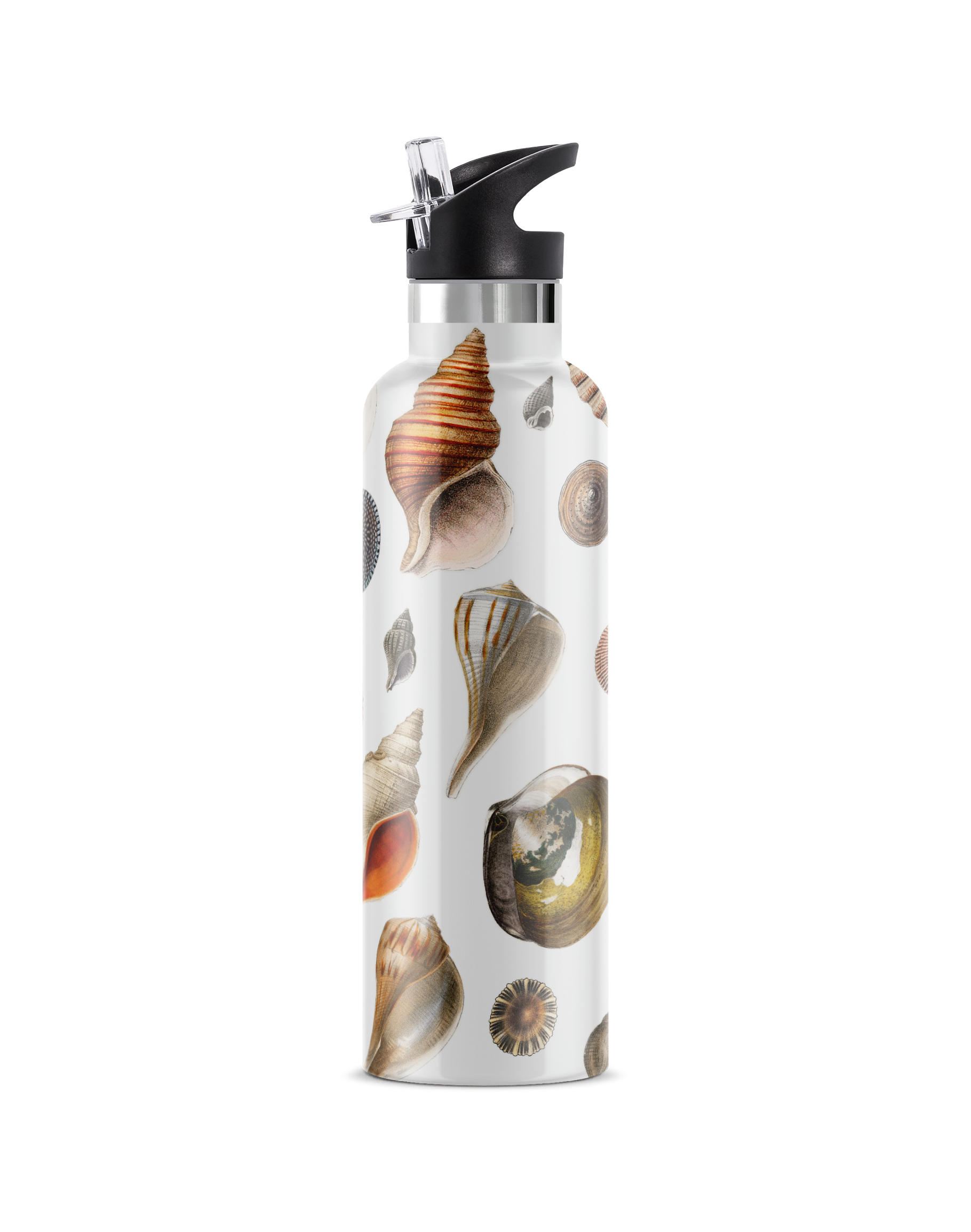Conchas Maris | 25oz. Insulated Water Bottle