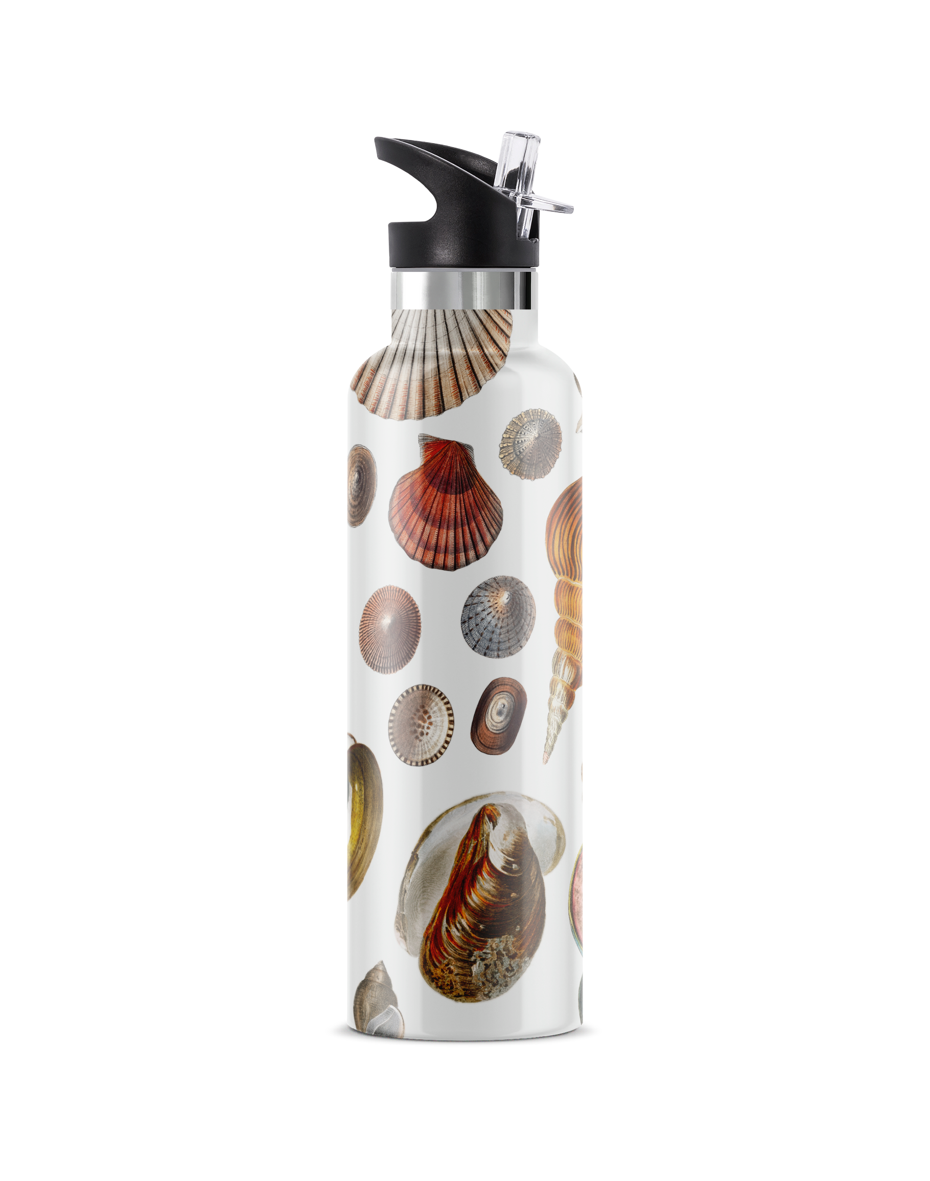 Conchas Maris | 25oz. Insulated Water Bottle