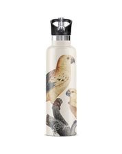 Perico | 25oz. Insulated Water Bottle