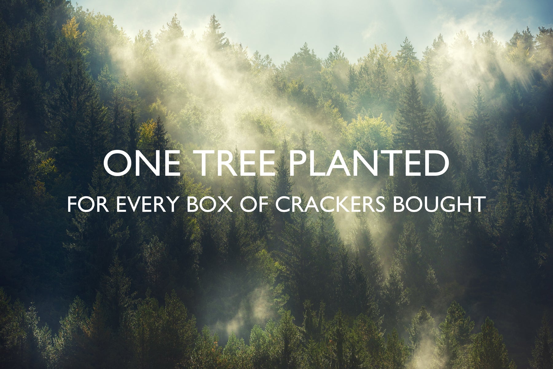 AAA_onetreeplantedforeveryboxofcrackersbought_6by4_c7fdc38d-7642-4b7e-a239-721952c85a23.jpg
