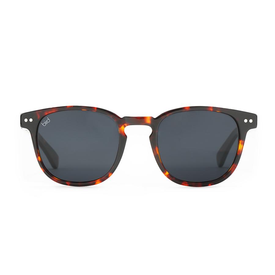 ALBA-Tortoiseshell-Front-square-sunglasses.jpg