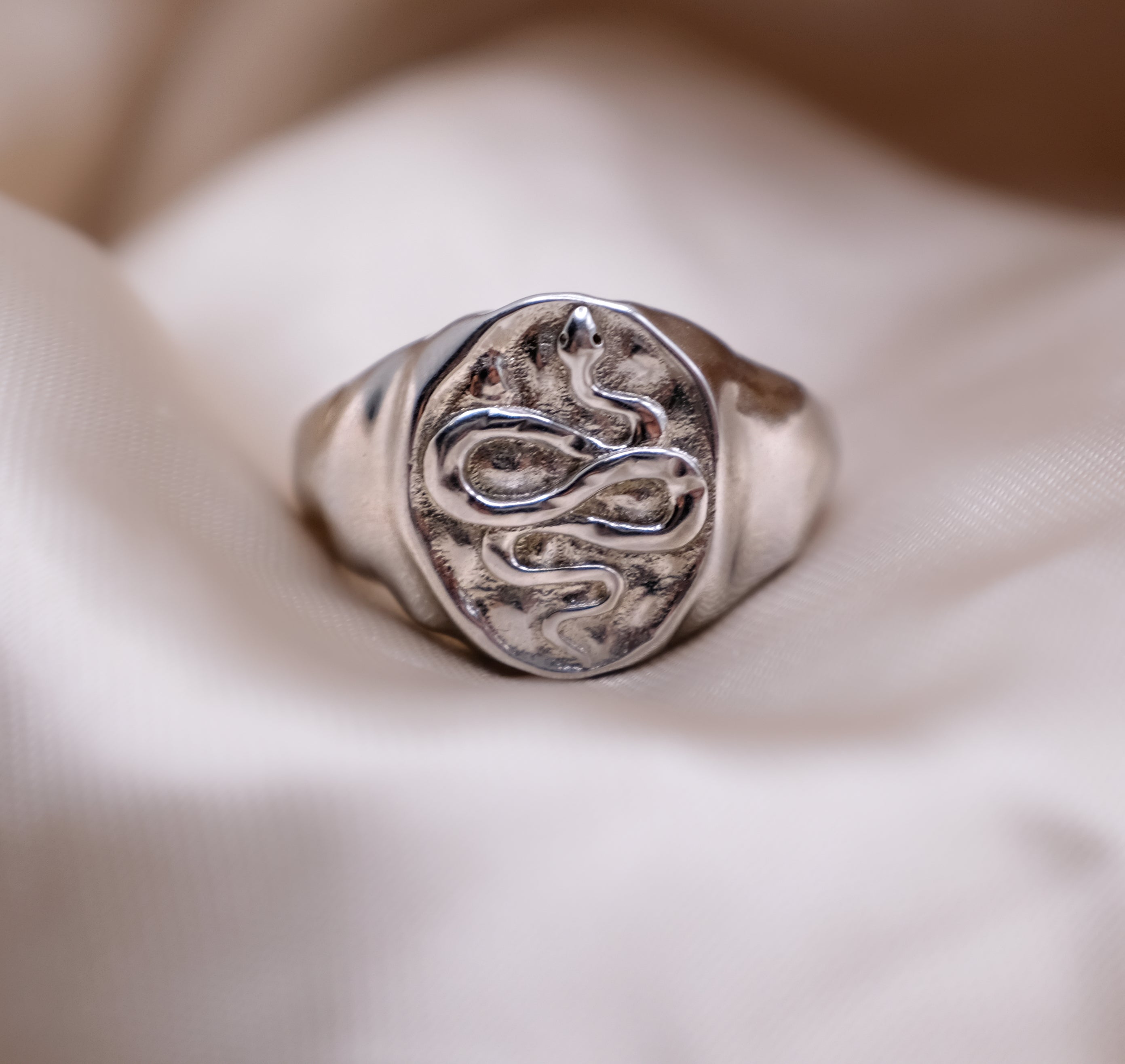 Snake Signet Ring - Silver