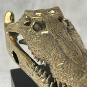 Saltwater Crocodile Skull, Small with base