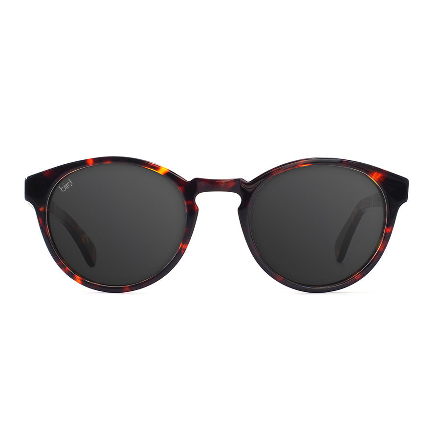 KAKA-Bird-sunglasses-tortoiseshell-Front.jpg