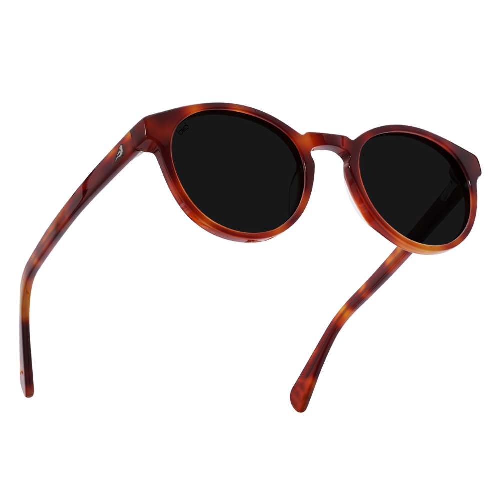 Kaka-Caramel-AF-1000px-Bird-eco-friendly-sunglasses.png