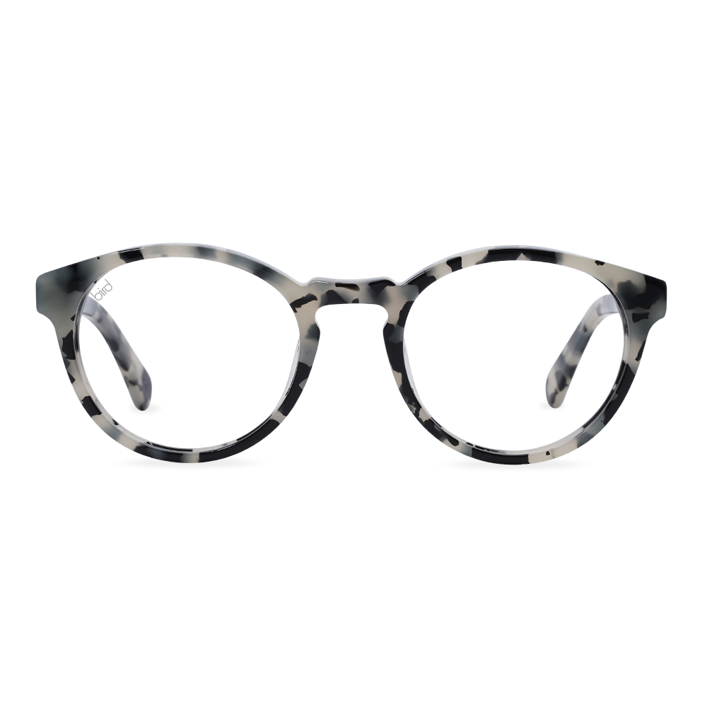 Kaka-Snowy-Front-1000px-Bird-eco-friendly-glasses.png