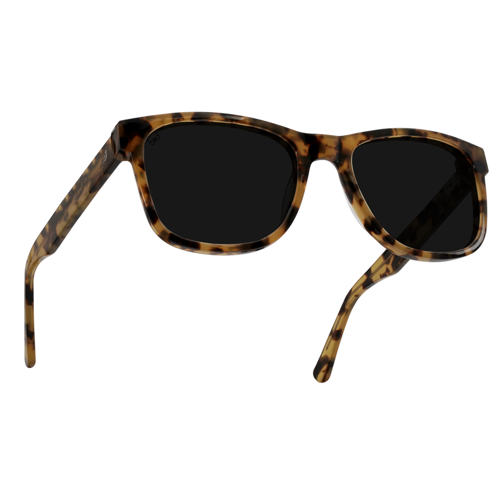 Otus-Yellow-Tortoiseshell-AF-1000px-Bird-eco-friendly-sunglasses.png