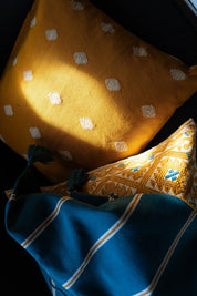 The Path Of The Sun Handwoven Cushion