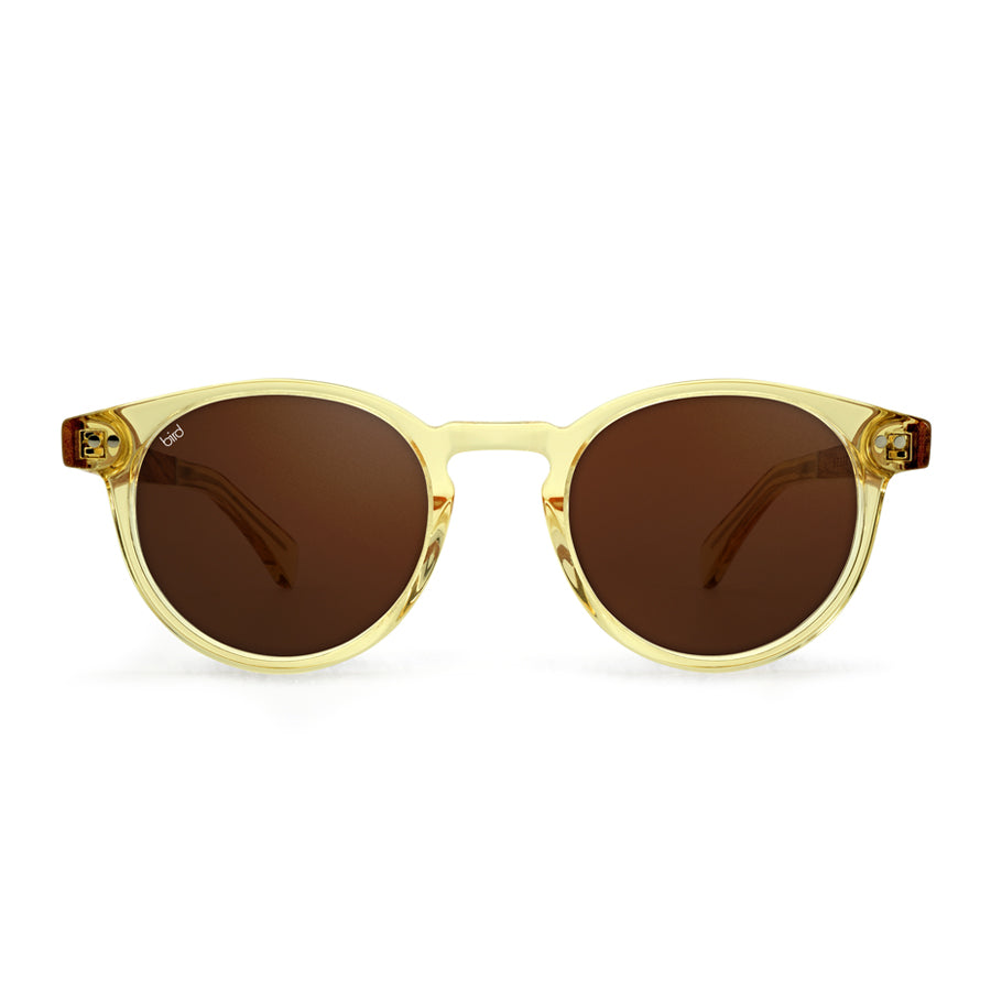 TAWNY-Honey-bio-acetate-sunglasses-for-men-and-women-front_3403967d-8747-4b01-ab4c-2424dc8ba538.jpg