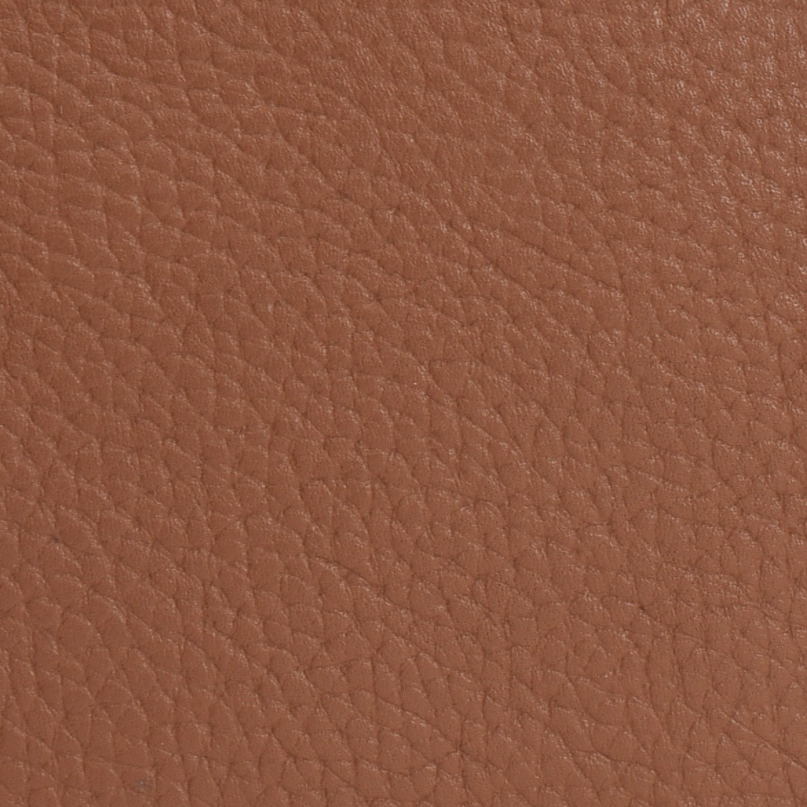 brixbailey-tan-ethical-leather-brand.jpg