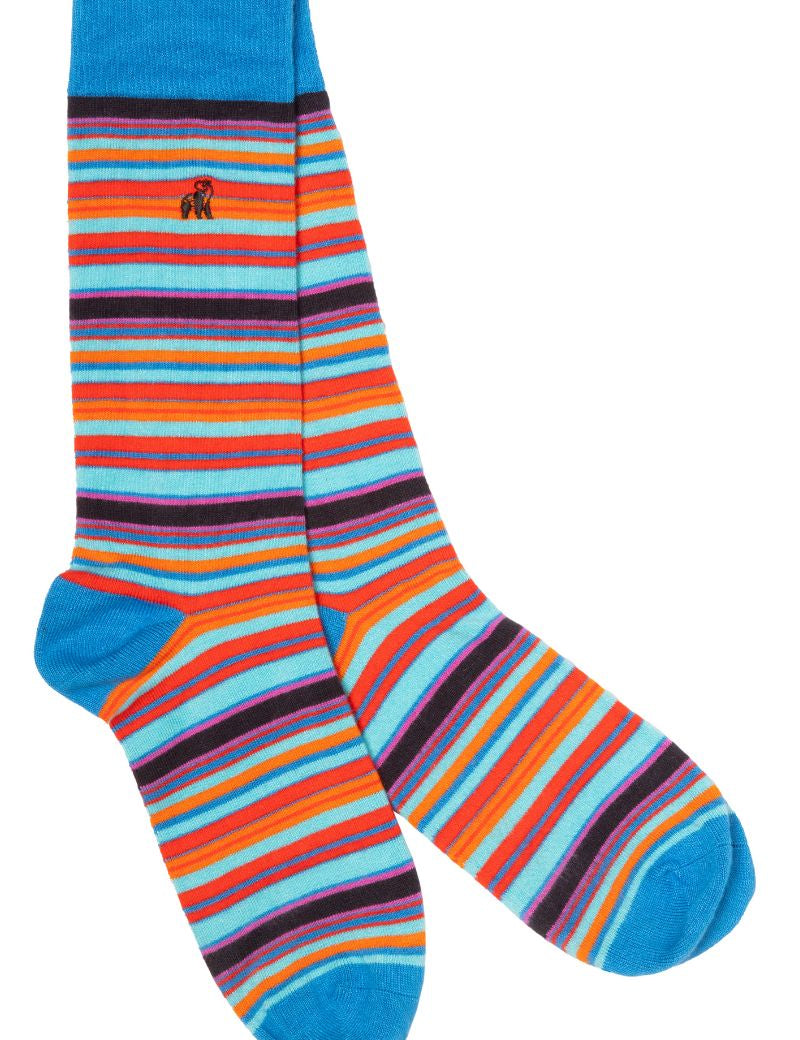 socks-blue-and-red-narrow-striped-bamboo-socks-1_5714ec57-2726-400b-b654-dbd4c427b407.jpg